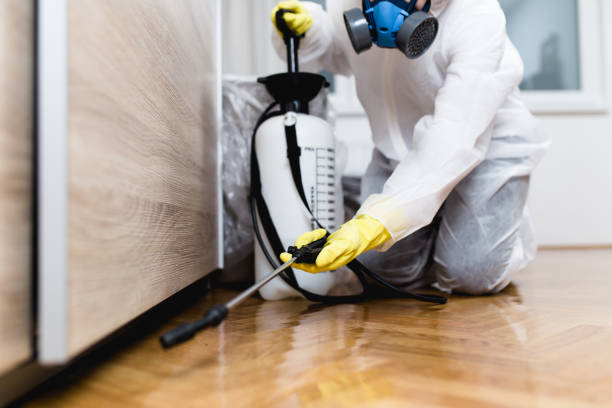 Best Affordable Pest Control Services  in Puget Island, WA
