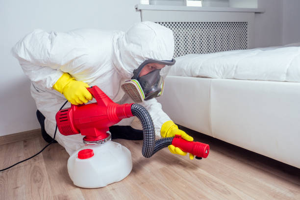 Best Local Pest Control Services  in Puget Island, WA
