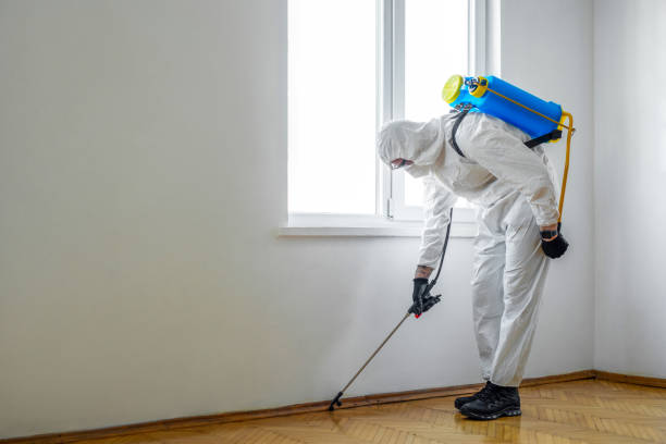 Best Pest Removal Services  in Puget Island, WA