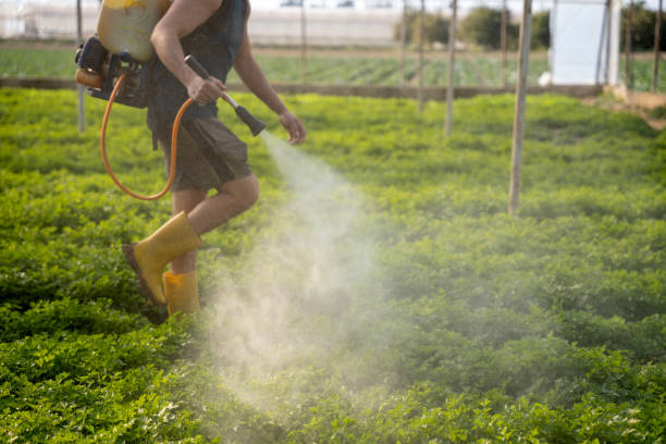 Best Pest Inspection Near Me  in Puget Island, WA