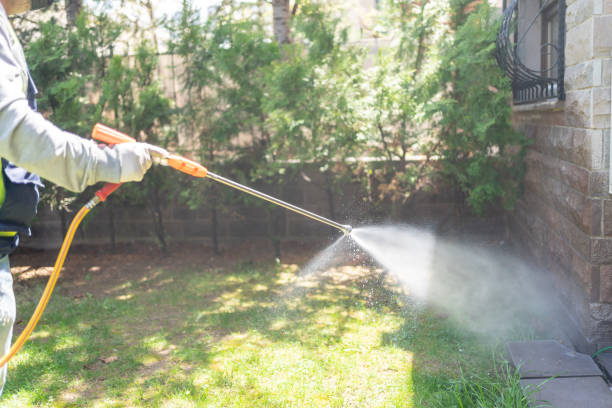 Best Pest Control Near Me in Puget Island, WA