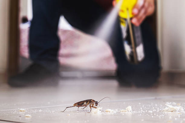 Puget Island, WA Pest Control Company