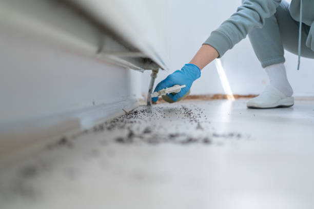 Best Mosquito Control Services  in Puget Island, WA